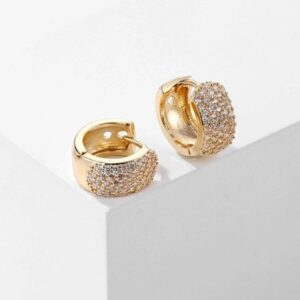 Cubic Zirconia Decor Hoop Earrings